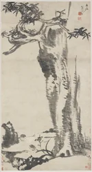 Zedernbaum, Taglilie und Bachstelzen